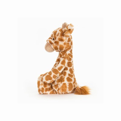 Jellycat Bashful Giraffe USA | 37892TQWJ